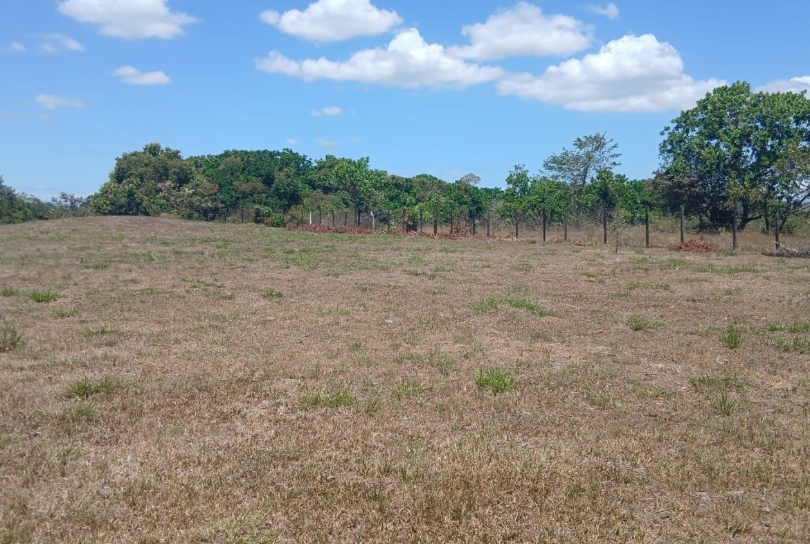 1170